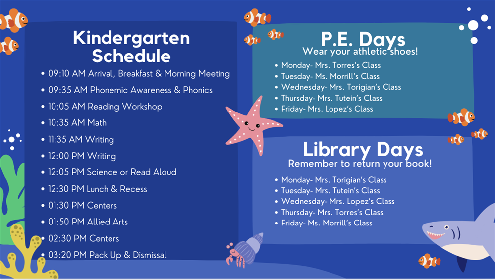Visual Kindergarten schedule w/ gym and library reminders